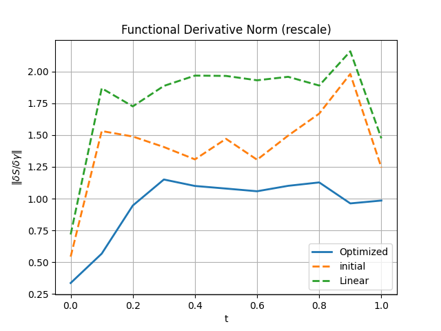 Functional derivative convergence plot showing decreasing Euler-Lagrange residual.